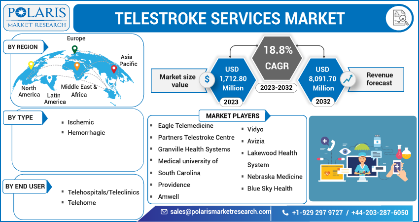  Telestroke Services Market Share, Size